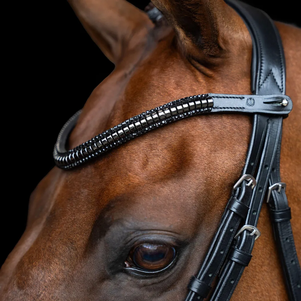 Frontal IRH Clincher Noir Noir WB pour Filet de Cheval Haut de Gamme