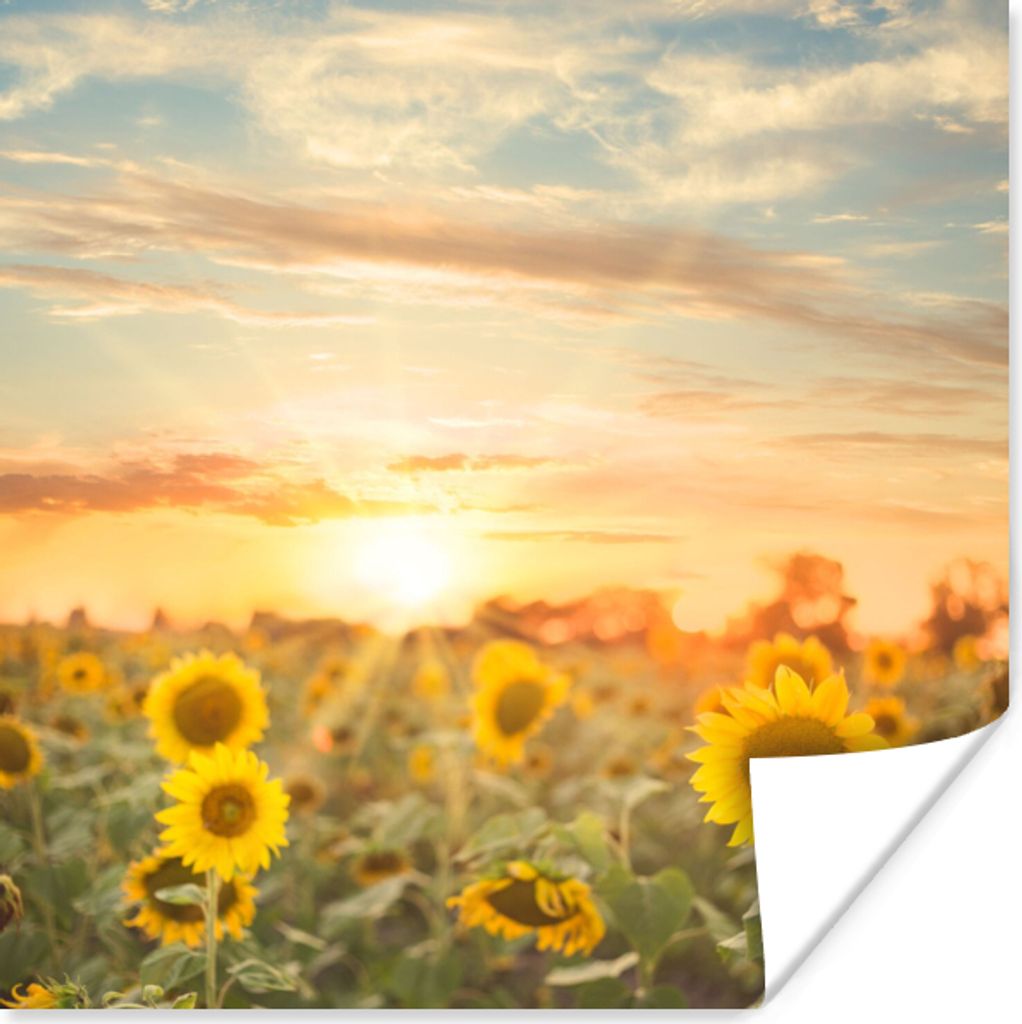 MuchoWow Poster Sonnenblume - Sonne - Blumen 100x100 cm - Babyzimmer