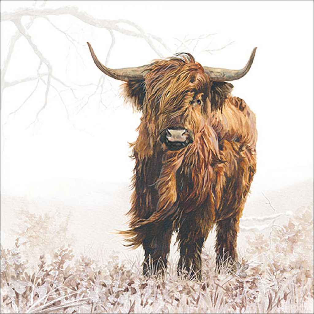 Tovaglioli 33x33 cm - Highlander Immagine del prodotto 