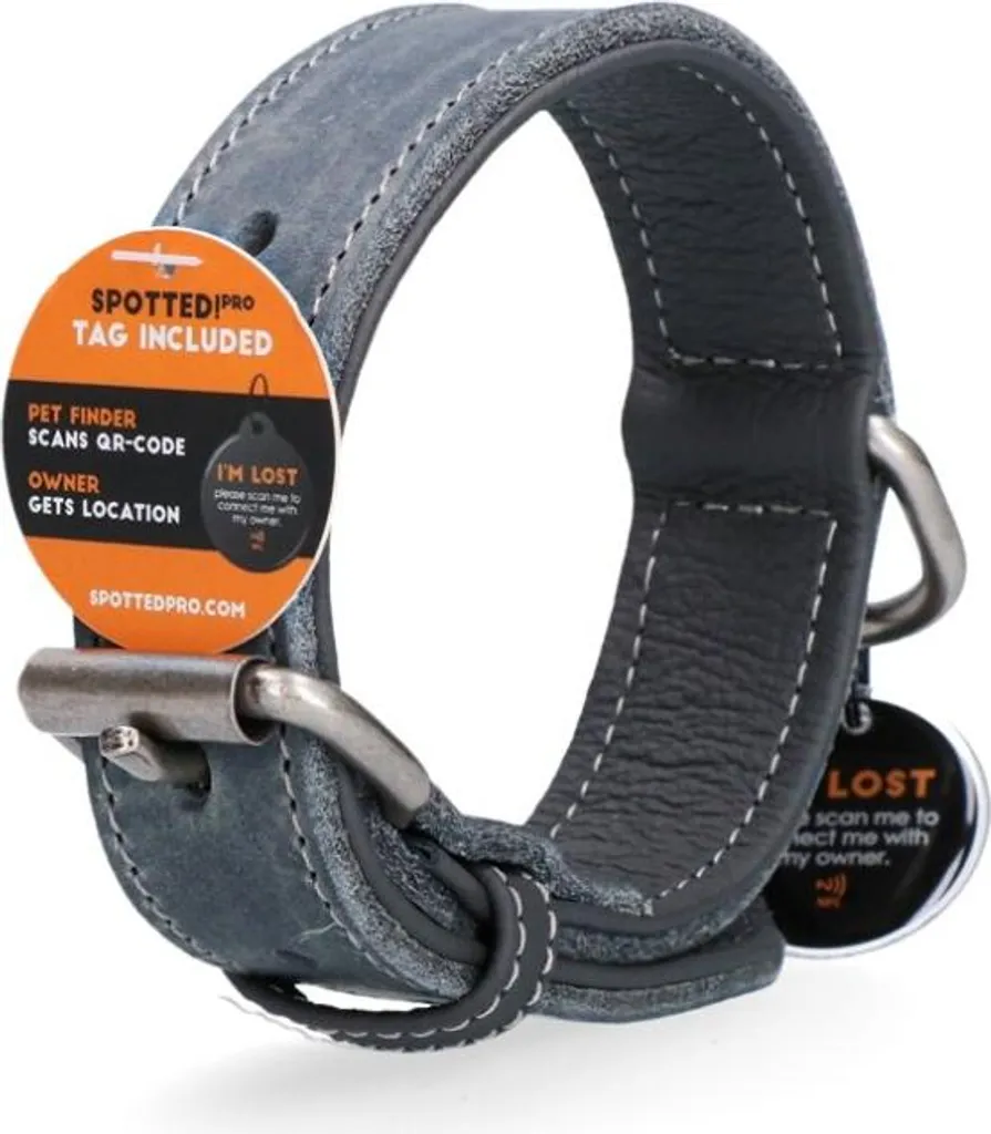 Collier pour chien en cuir véritable gris Spotted ! Pro 40cm Confort