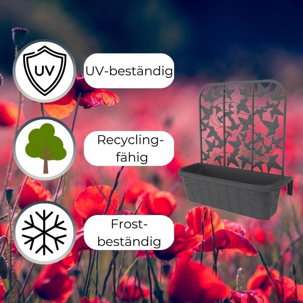 2x Balkonkasten mit Spalier für Kletterpflanzen Produktbild 5