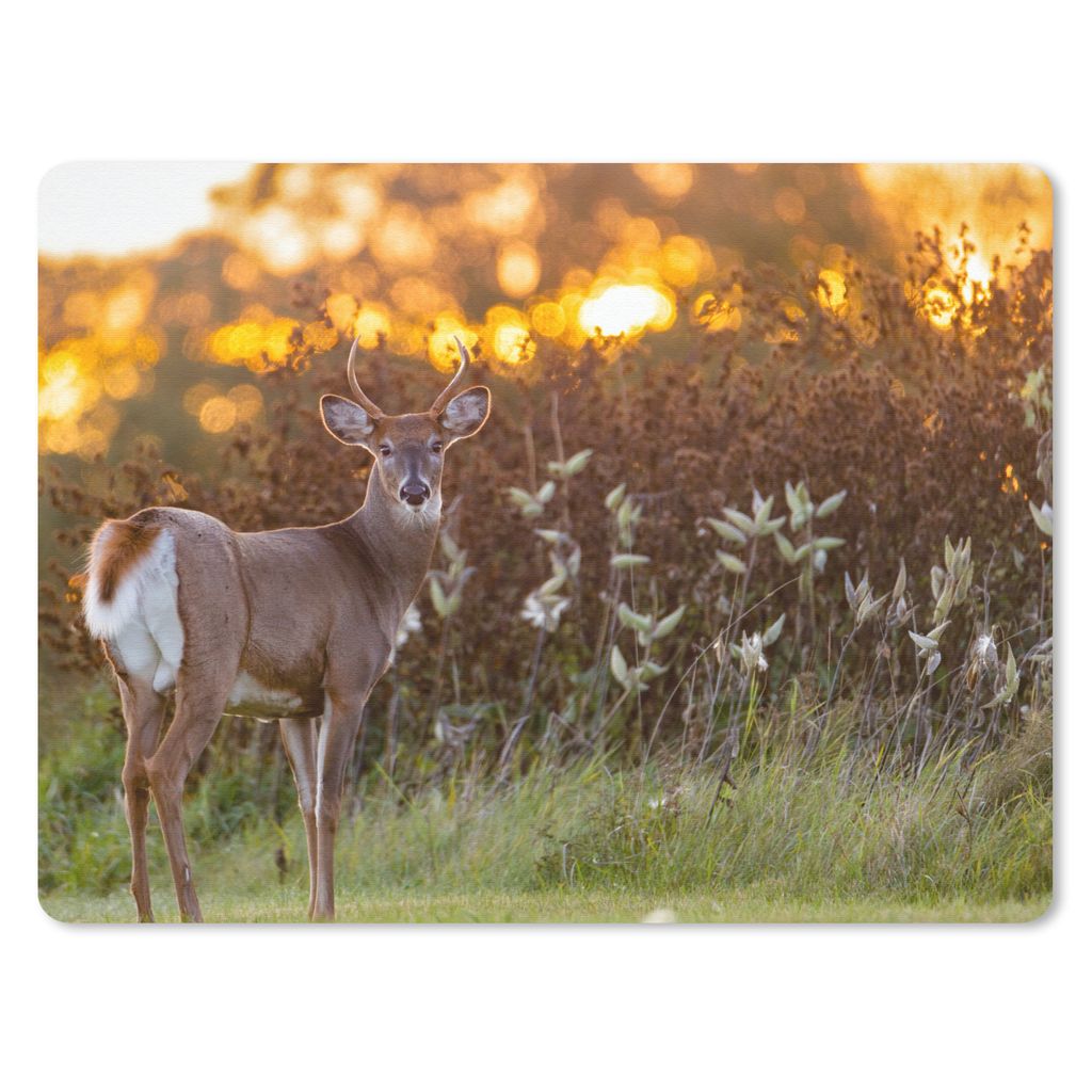 MuchoWow Mauspad Mousepad Hirsche - Pflanzen - Sonnenuntergang - Wildtiere - Natur 23x19 cm - Mousepads - Maus Mat - Pad - Mausunterlage - Schrei...