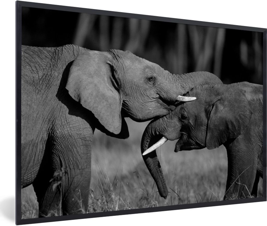MuchoWow Gerahmtes Poster Fließende Elefanten - schwarz und weiß 90x60 cm - Poster mit Schwarzem Bilderrahmen Wandposter Rahmen Foto Bilder - F...