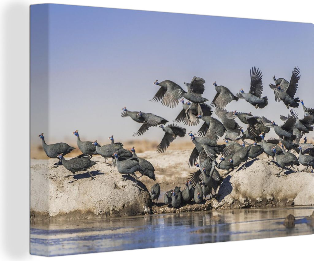OneMillionCanvasses - Leinwandbilder - 140x90 cm, Perlhühner - Vögel - Fliegen, Wandbilder Kunstdruck Wanddekoration