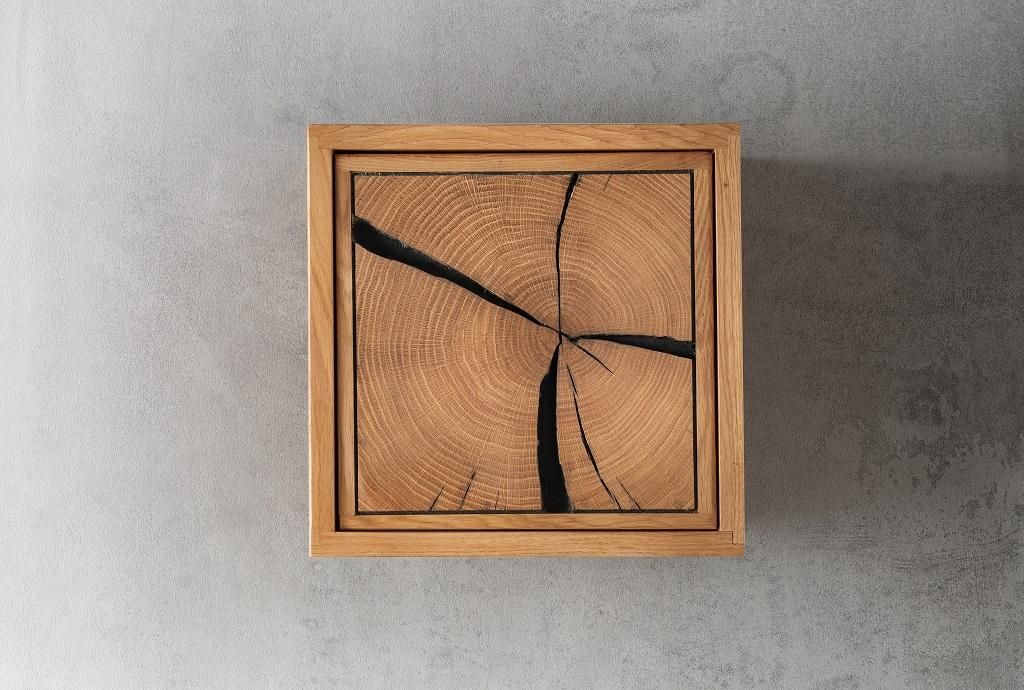 Wandregal mit Holztür 34x34cm 'Danzig II' Wildeiche massiv