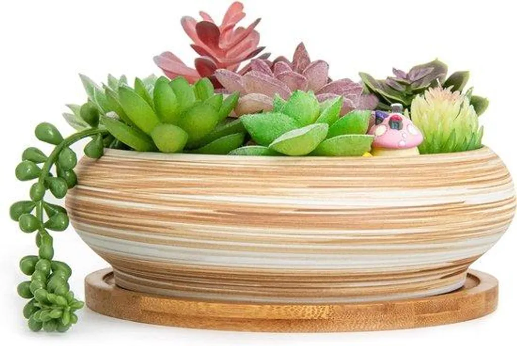 Grands pots de 18,5 cm pour plantes d'intérieur et cactus en terre cuite