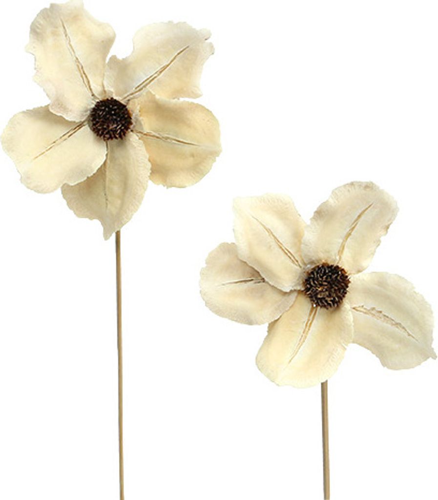 Gebleichte Holzblüte Stecker, Tischdeko Trauer Gesteck Weihnachten, Natur Ø9-12cm L45cm, 15 Stück