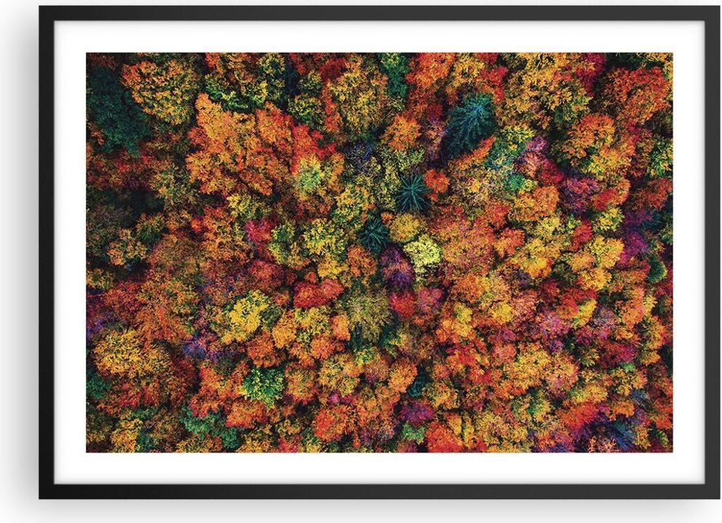 Gerahmtes Poster - Schwarzer Rahmen - Herbst Perspektive Vogel - 70x50 cm - Wand Bild - Wanddeko - Wandbilder - Kunstposter - Wandposter - Bilderra...