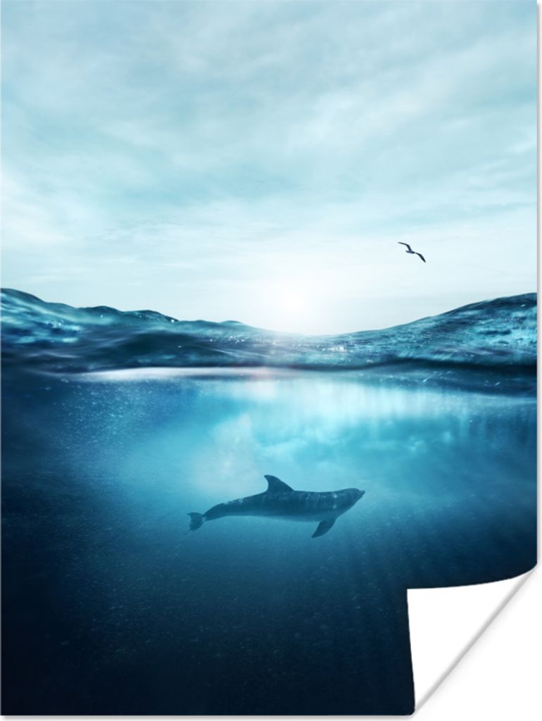 MuchoWow Poster Delfin - Schwimmen - Meer 30x40 cm - Wandplakat - Poster Kinderzimmer