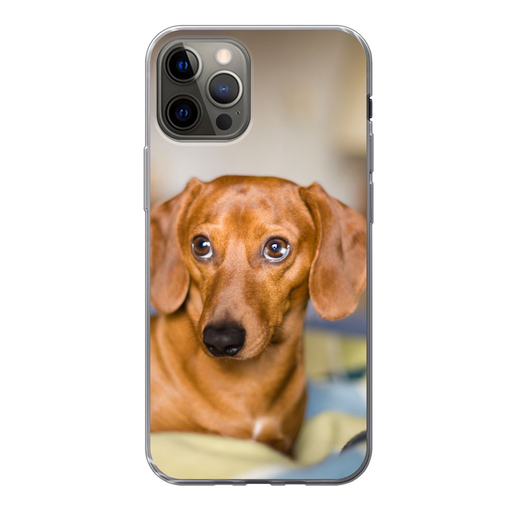 MuchoWow Handyhülle Schutzhülle Hülle für iPhone 12 Pro Dackel liegend auf einem Bett Silikon Softcase Handy Hülle - Abdeckung