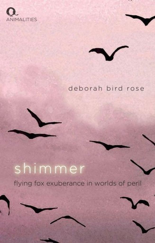 Shimmer