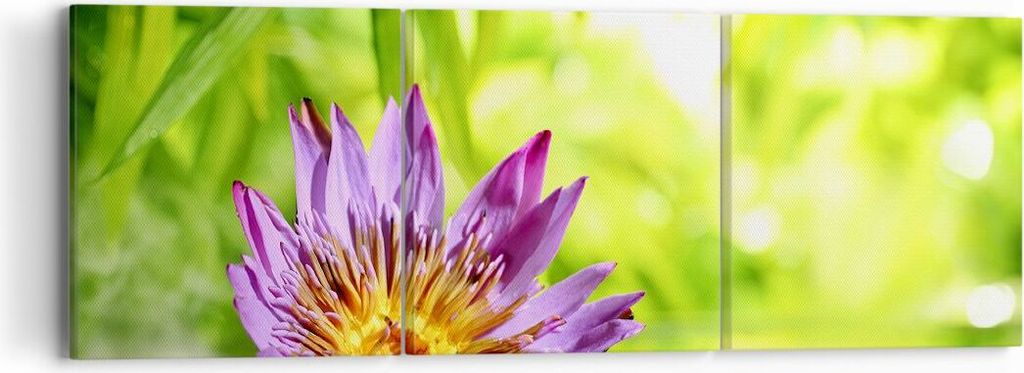 Bild auf Leinwand - Leinwandbild - Asien spa bambus blume - 90x30cm - Wand Bild - Wanddeko - Leinwanddruck - Bilder - Kunstdruck - Wanddekoration -...