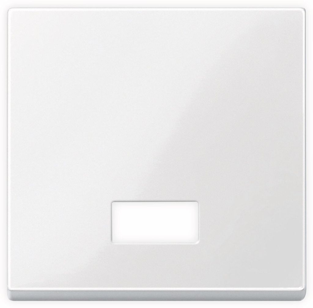 MERTEN Wippe m.Symbolfenster rechteckig 432819 System M polarweiss glänzend 432819 432819 (432819)