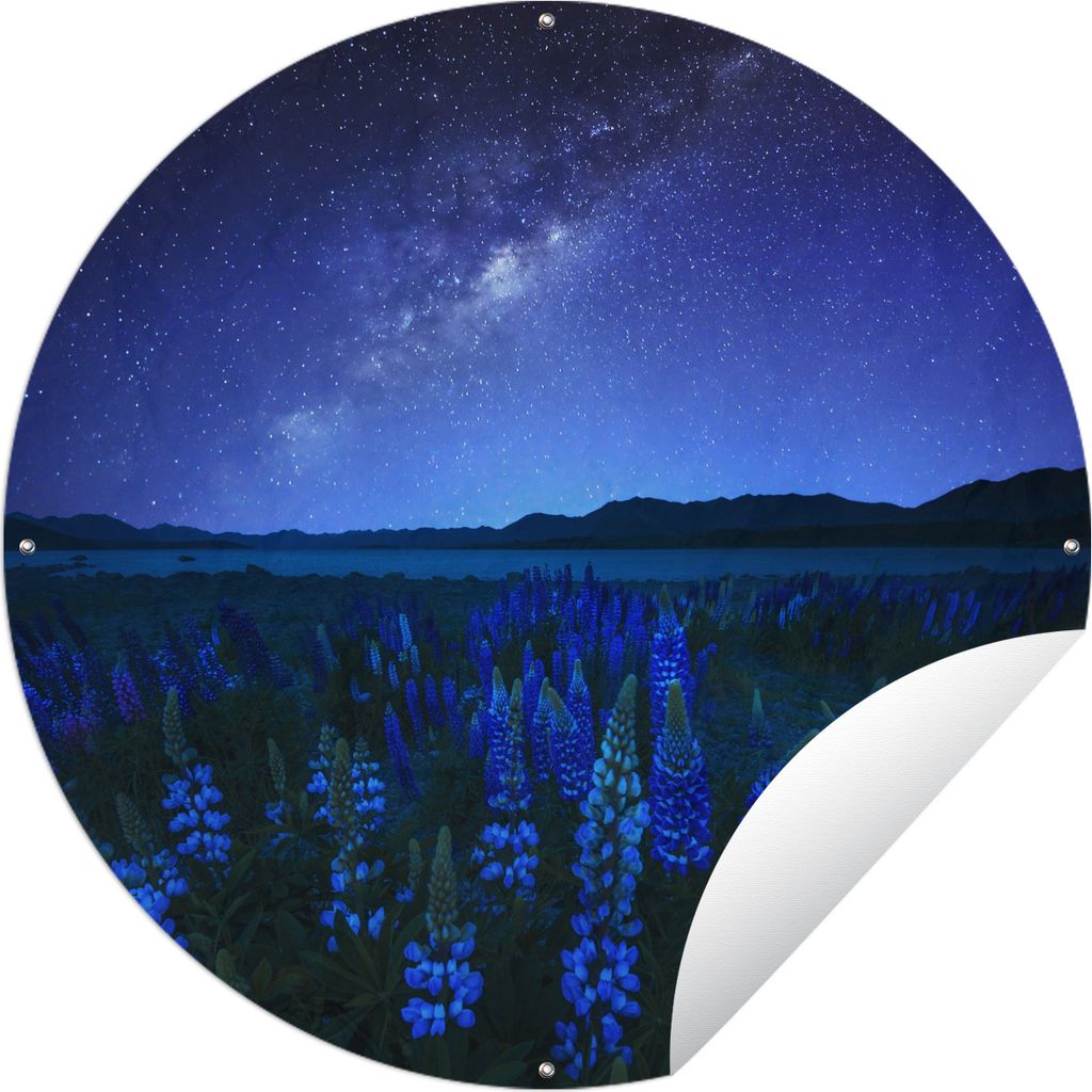 MuchoWow Gartenposter Outdoor-Poster Rund Sternenhimmel - Milchstraße - Blumen Ø 150 cm Gartendeko Rundes Poster draußen