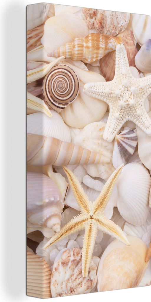 MuchoWow - Leinwandbilder - Seestern - Muscheln - Strand - Sommer, Wandbild, Wanddeko Bilder Wohnzimmer, 40x80 cm