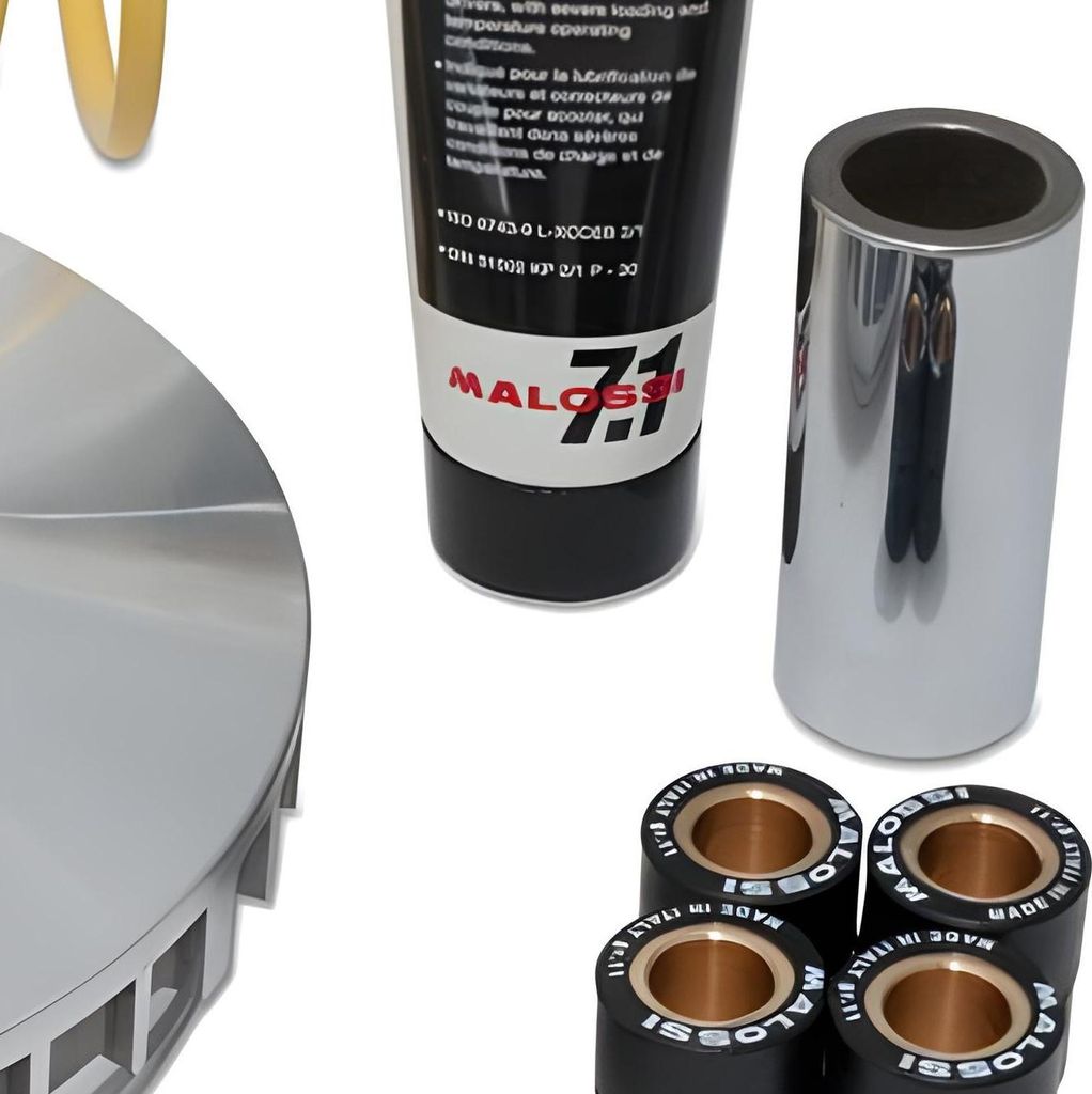 Variomatik Malossi Multivar für YAMAHA 250 - 300ccm 4T / Leonardo - Majesty etc. 20x12mm, 8 Rollen, 11g