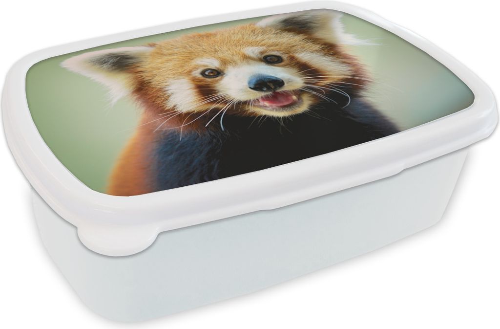 KitchenYeah Lunchbox Brotzeit Brotdose 17x11 cm Roter Panda - Orange - Schwarz Kinder Brotzeitdose - Lunch Box - Kinder - Sandwich-Box - Schulbox...