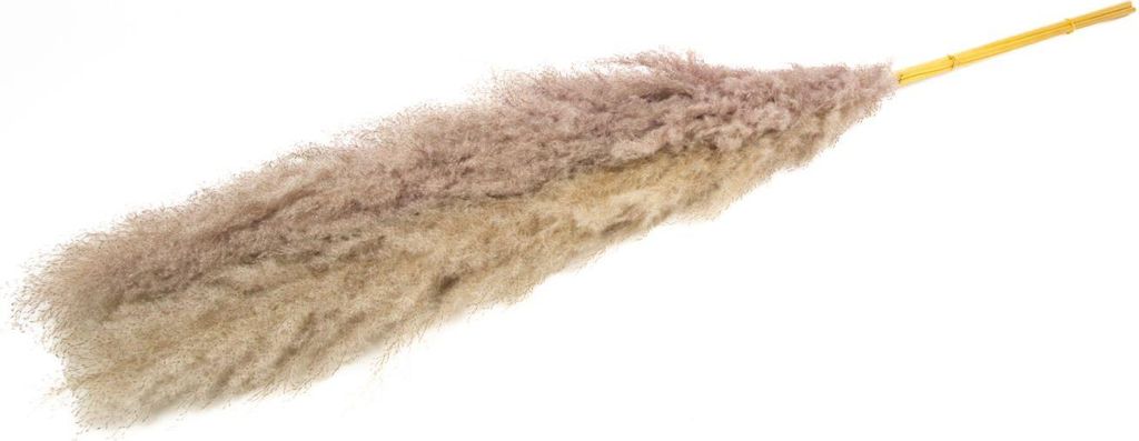 INNA-Glas Pampasgras getrocknet ANIAMI, grau-beige, 130-140cm, Ø20cm - Getrockneter Strauß