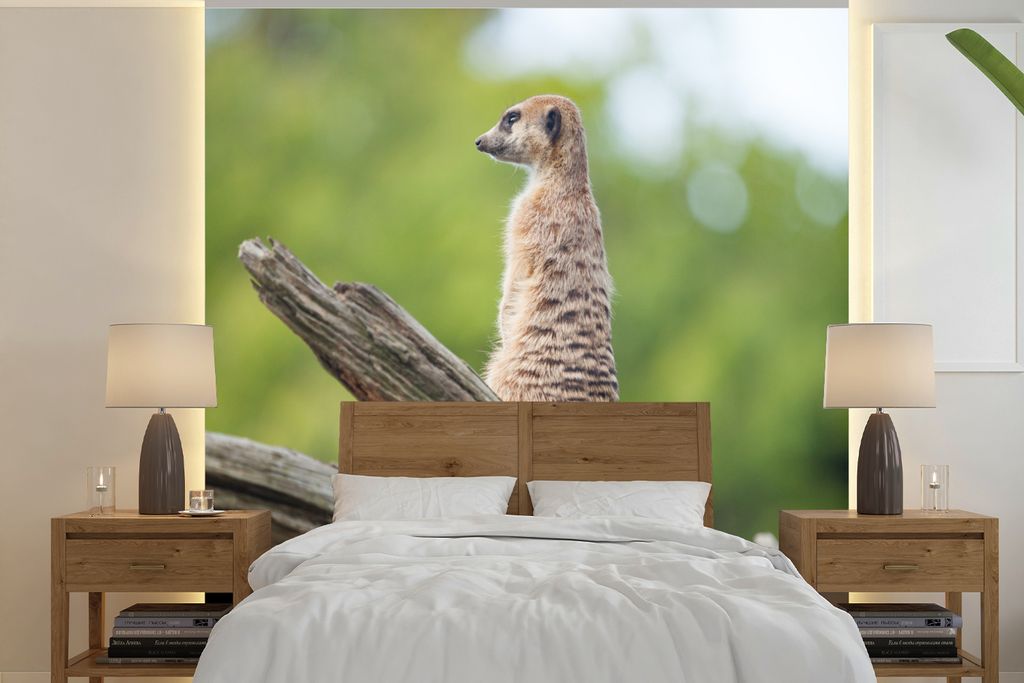 MuchoWow Fototapete für Wohnzimmer oder Schlafzimmer Wandtapete Vinyl Motivtapete Erdmännchen - Ast - Baum - 220x220 cm - Tapeten
