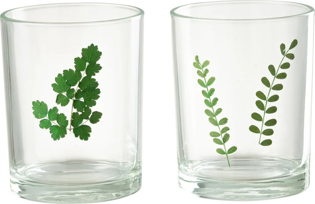Photophore J-Line en Verre : Apportez de la Lumière et de la Nature chez Vous