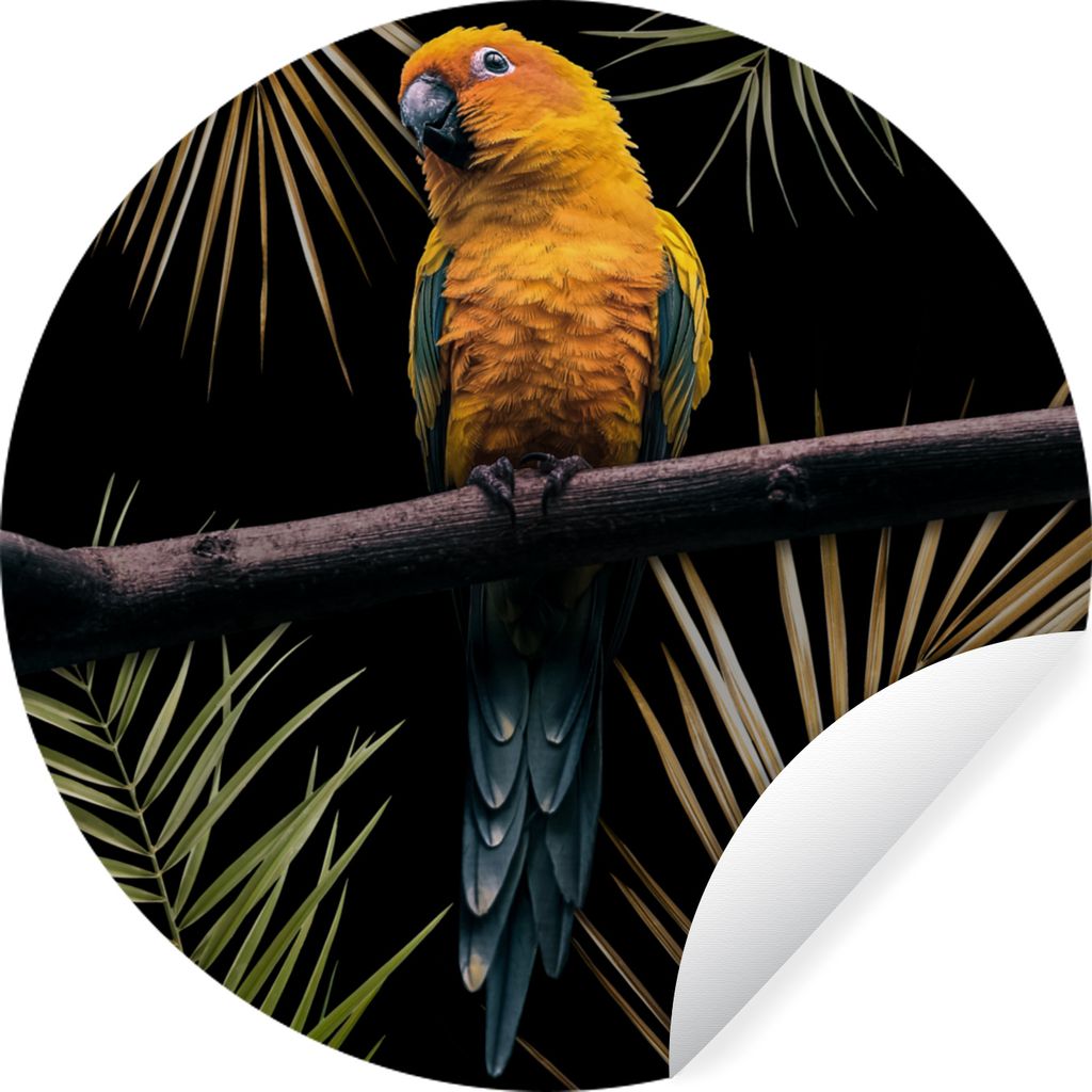 MuchoWow - Wand Kreis - Wand Bild - Foto Tapete - Selbstklebende - Wohnzimmerdekoration - Wand Dekoration - Kinderzimmer