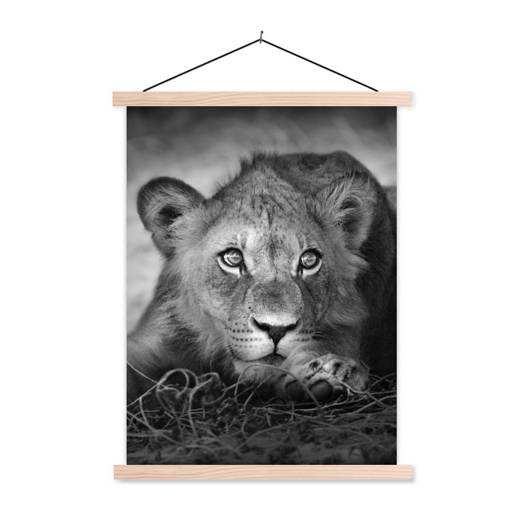 MuchoWow Textilposter Wildtiere - Löwe - Natur - Schwarz - Weiß 120x160 cm mit holzfarbenen Rahmen - Plakatkarton