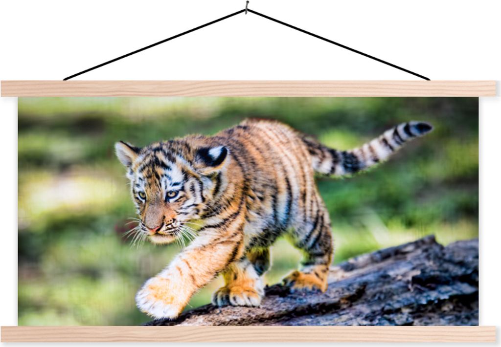 MuchoWow Textilposter Tiger - Junge - Baum 120x60 cm mit holzfarbenen Rahmen - Klemmleiste