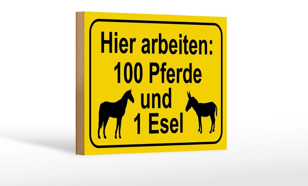Holzschild Hinweis 18x12cm arbeiten 100 Pferde und 1 Esel