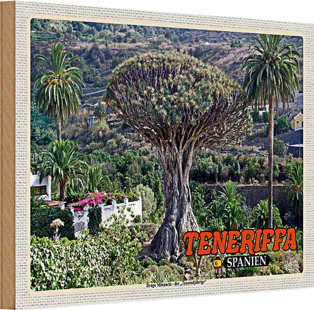 Holzschild Reise 30x20cm Teneriffa Drago Milenario-Tausendjährige