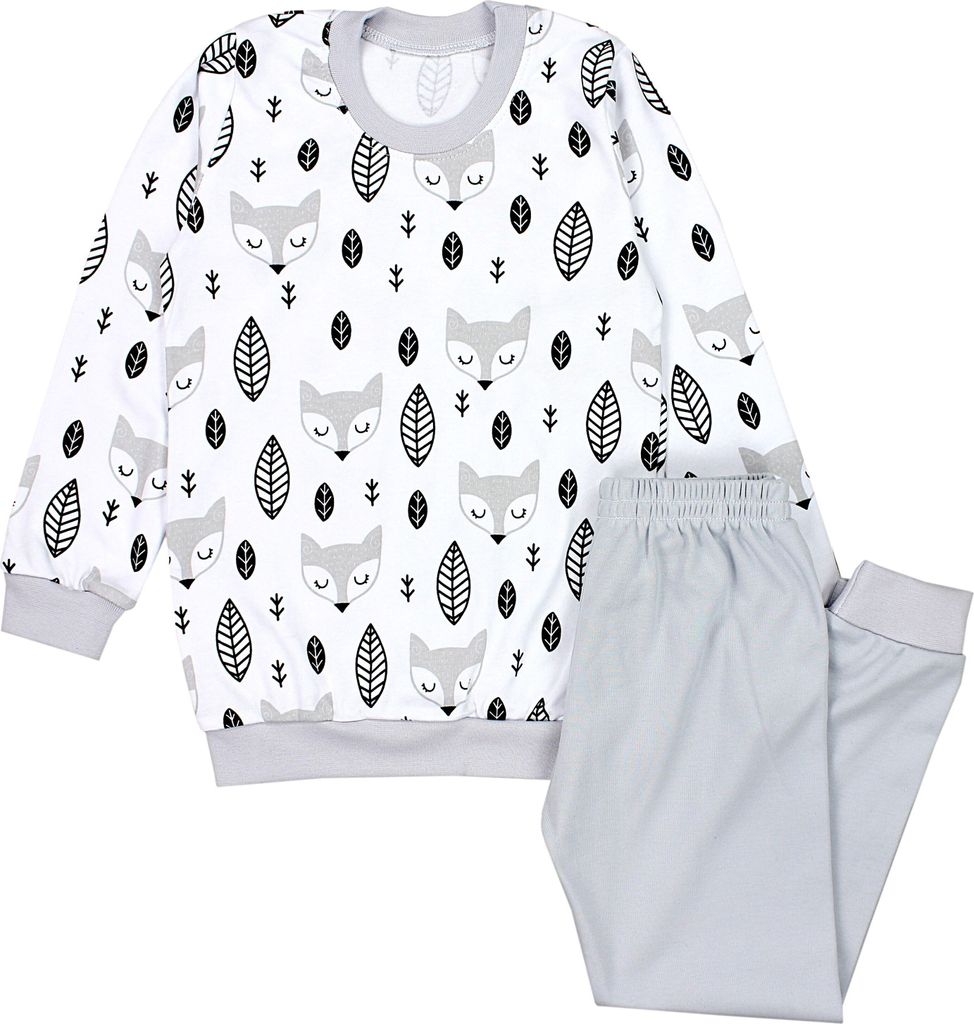 TupTam Kinder Jungen Pyjama Schlafanzug Set Langarm Nachtwäsche 2-teilig, Farbe: Füchse Grau, Größe: 104