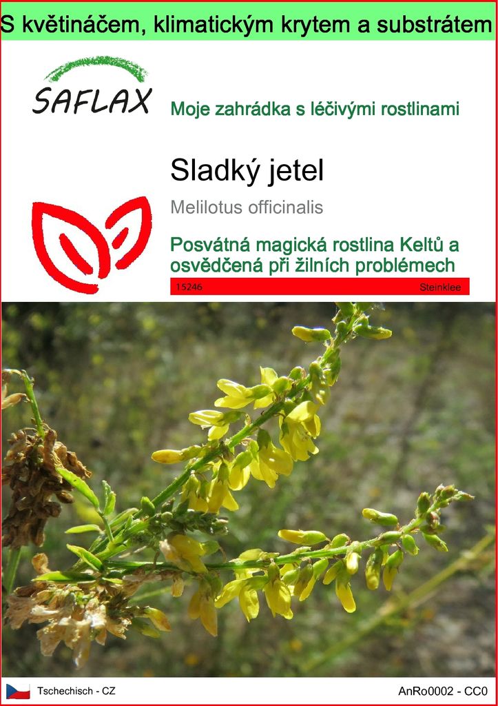SAFLAX Garden to go - sladký jetel - Melilotus officinalis Obrázek produktu 