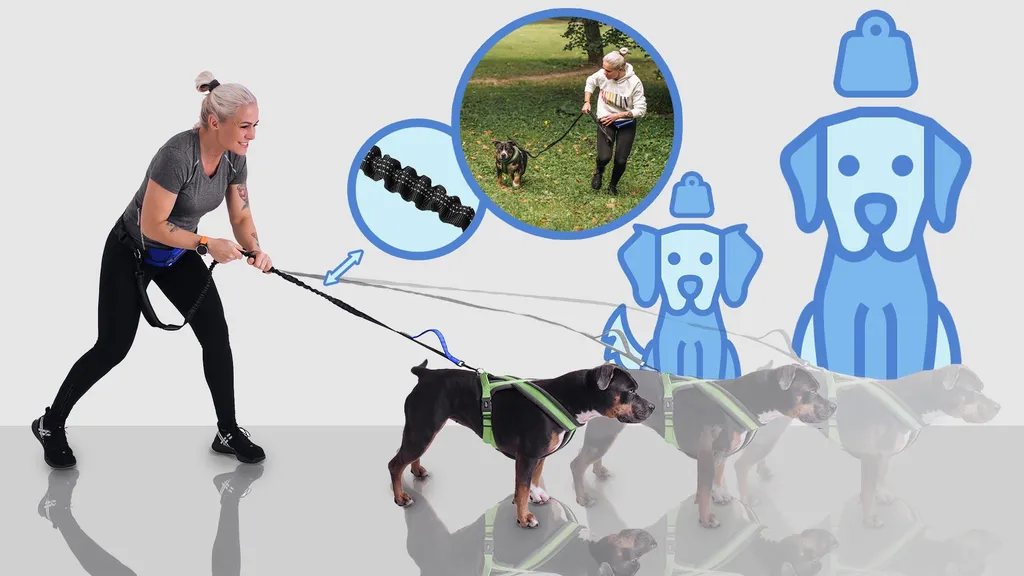 Fini les Secousses : Ceinture Laisse Mains Libres pour Chien Bleu