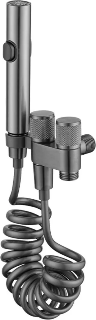 INF Compagno Mini WC Inox: Valvola Doppia Uscita con Doccetta Grigio