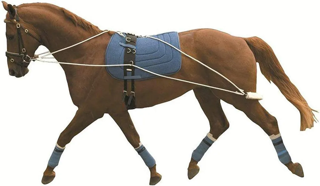 Kincade WB1084: Il Segreto per una Schiena da Campione | Shop Online