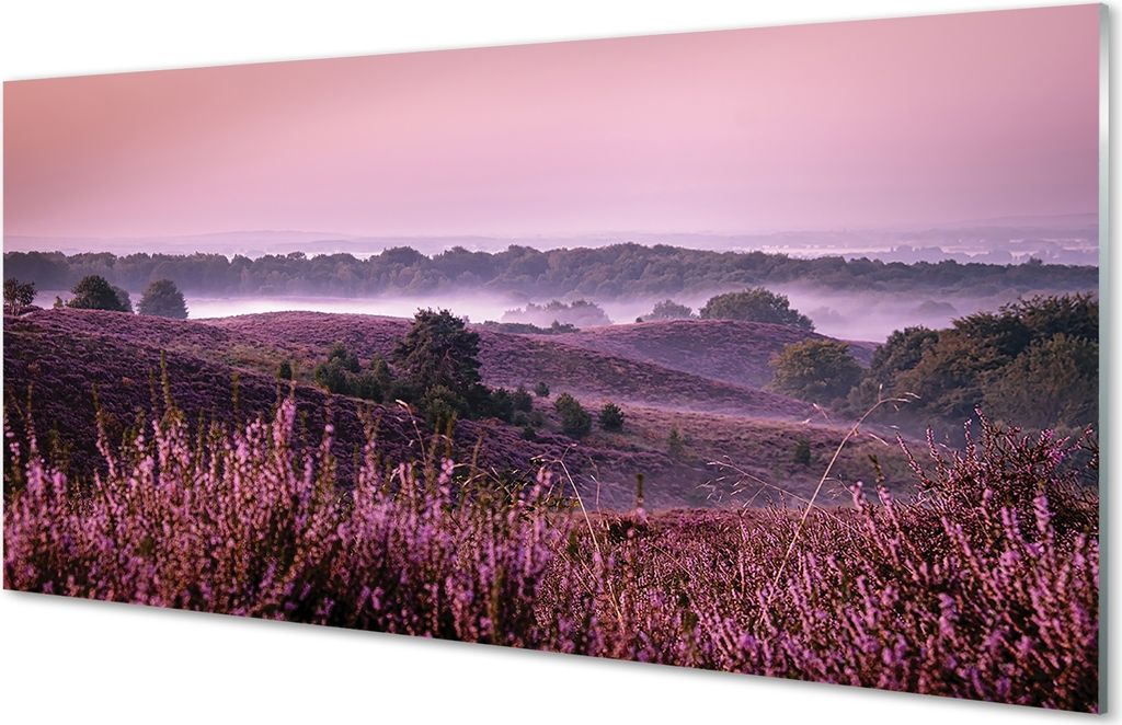 Spritzschutz 100x50 Wandkunst Feld heathers