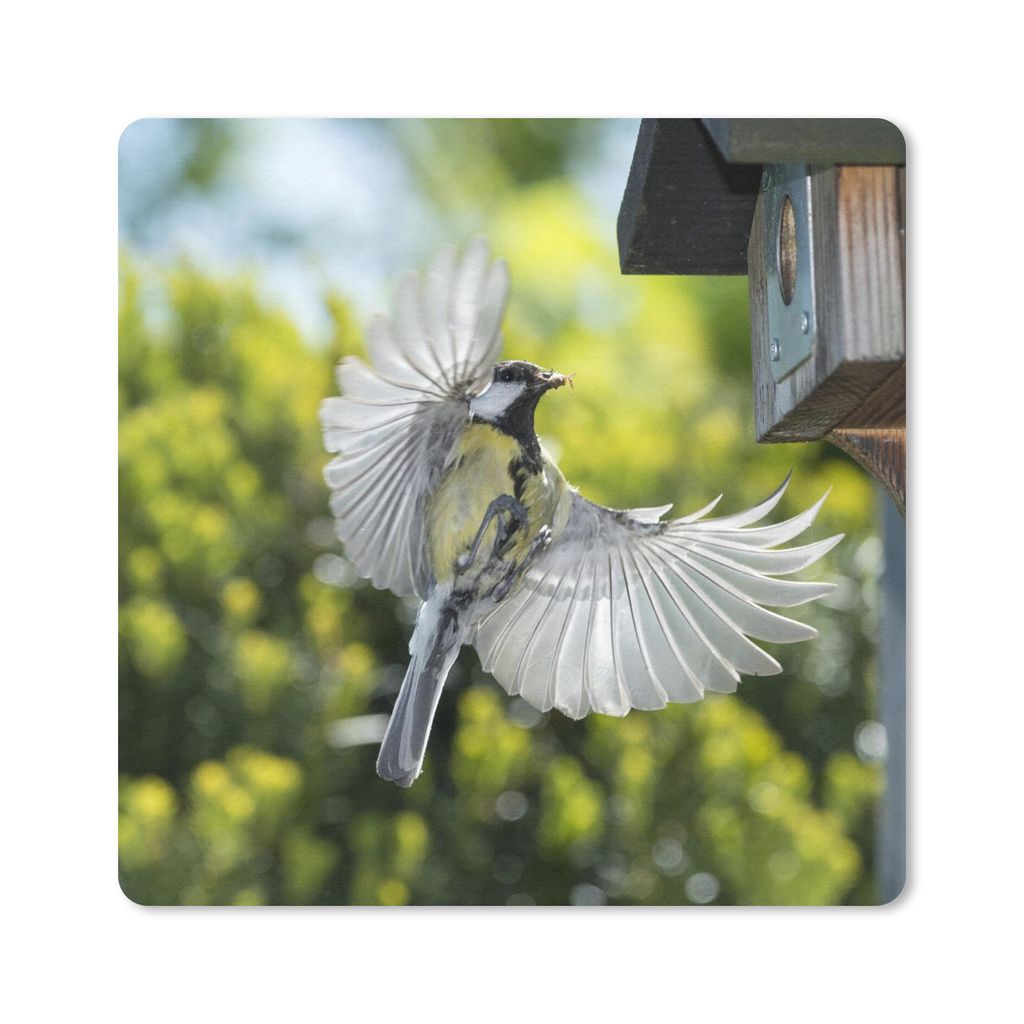 MuchoWow Mauspad Mousepad Eine Kohlmeise fliegt in ein Vogelhaus 30x30 cm - Mousepads - Maus Mat - Pad - Mausunterlage - Gaming