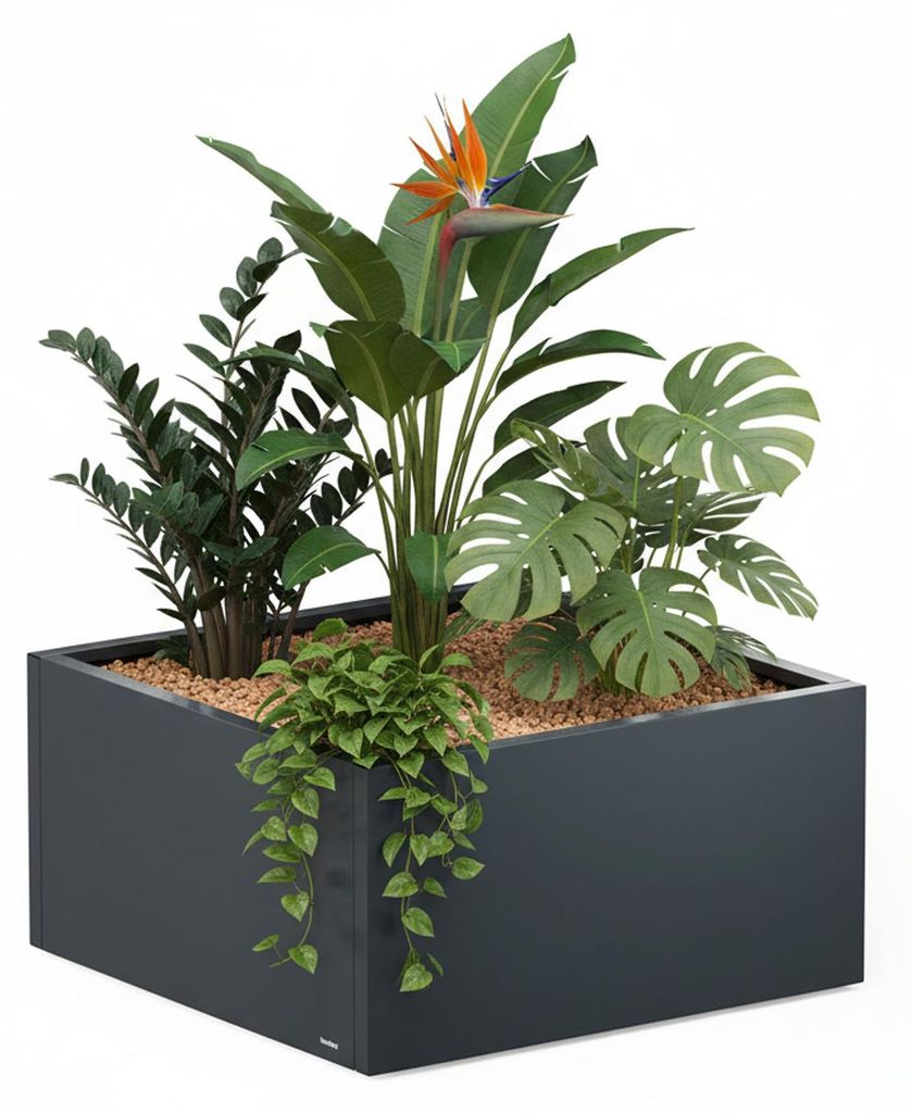Herstera Garden Cube Low L flacher Outdoor Pflanzkasten Produktbild 
