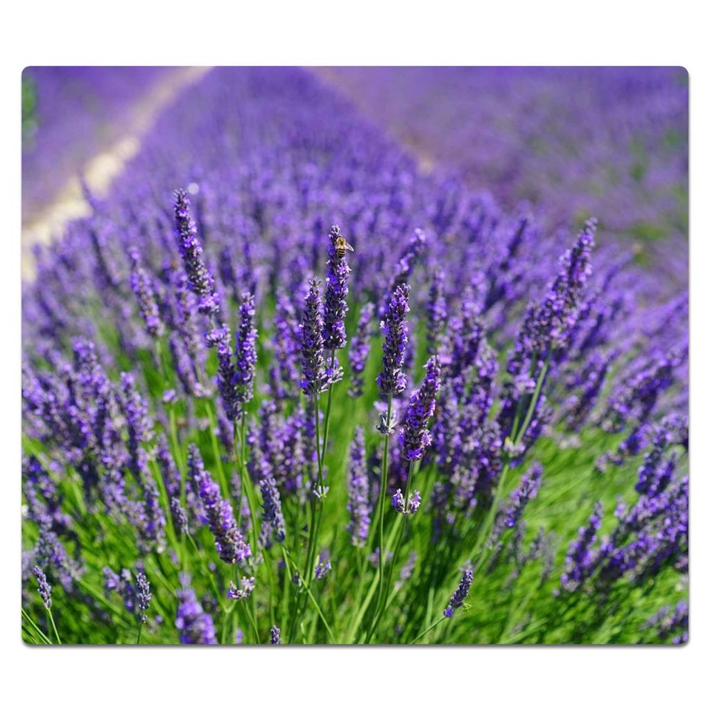 Herdabdeckplatten Ceran Schutz Glas Lavendel Violett 2x30x52 Universal 2-Teilig 