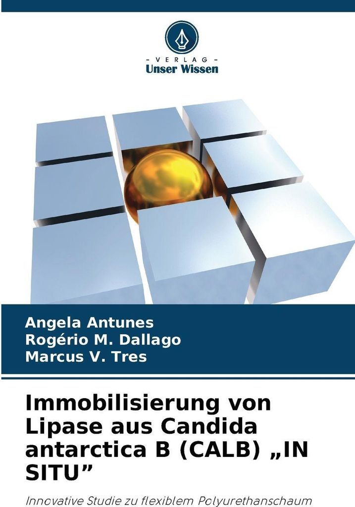 Immobilisierung von Lipase aus Candida antarctica B (CALB) "IN SITU"
