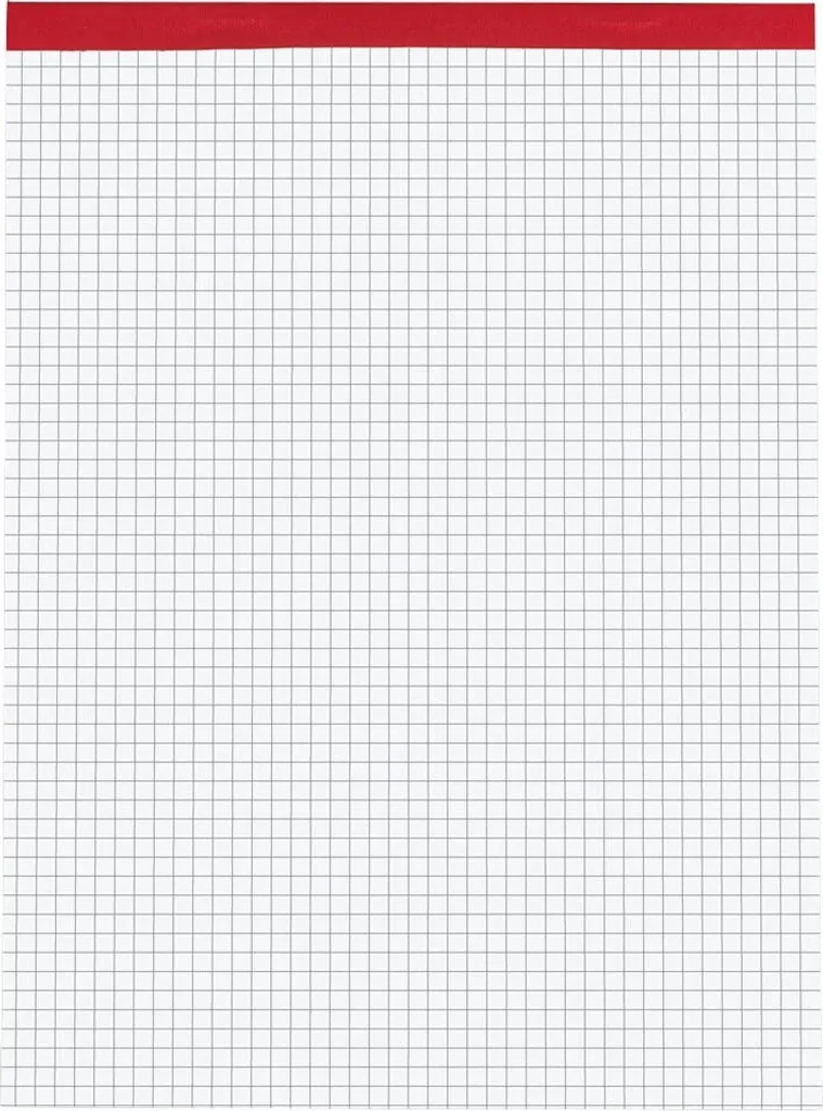 Bloc-notes A4 quadrillé BRUNNEN 5155532 avec feuilles détachables x10