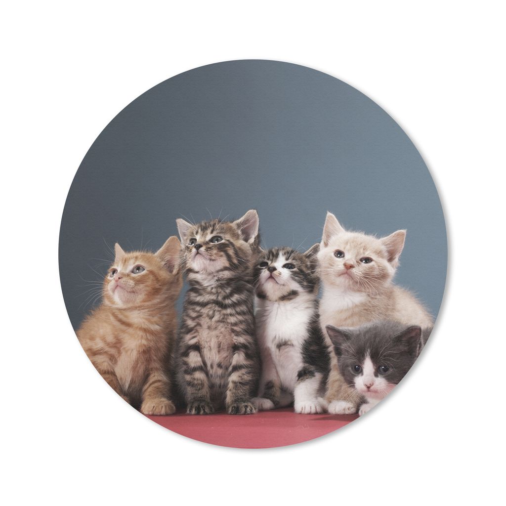 MuchoWow Mauspad Mousepad Kätzchen - Blau - Rosa - Mädchen - Kinder - Jungen - Kind 20x20 cm - Mousepads - Maus Mat - Pad - Mausunterlage - Sch...
