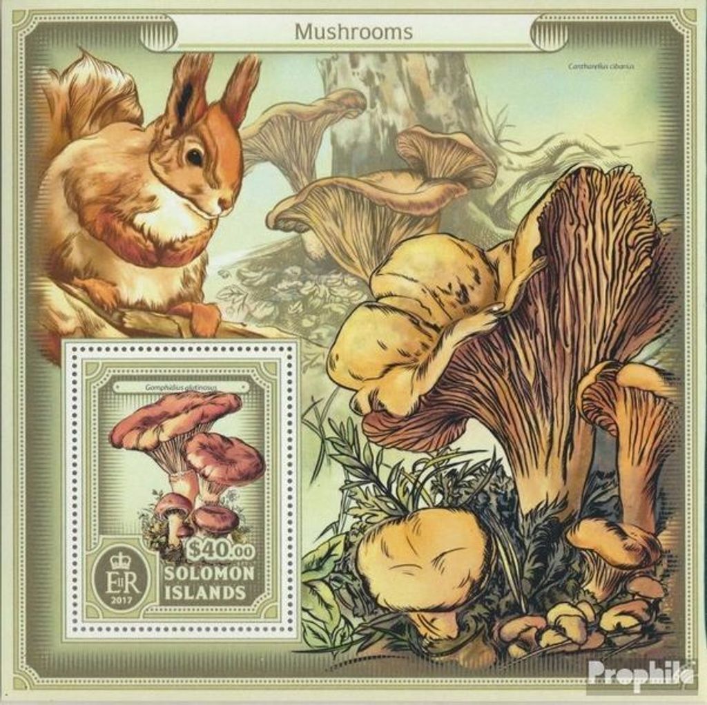 Briefmarken Salomoninseln 2017 Mi Block 627 (kompl. Ausg.) postfrisch Pilze