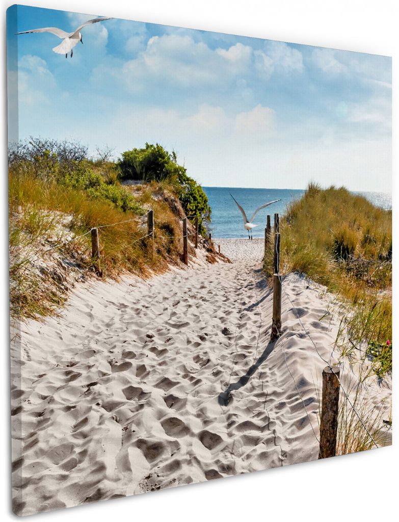 Wallario Premium Leinwandbild Möwen auf dem Weg zum Strand in Größe 50 x 50 cm