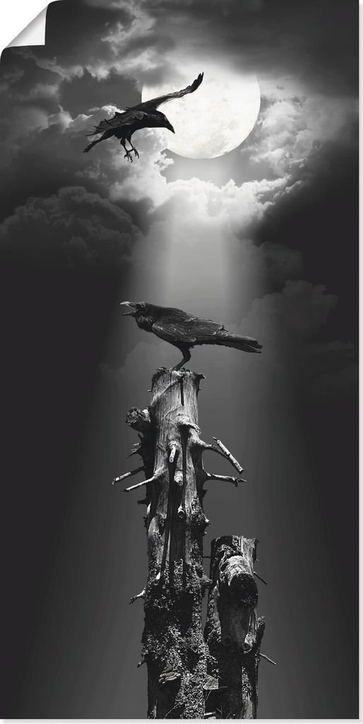 ARTland Poster Raben in der Nacht Größe: 30x60 cm