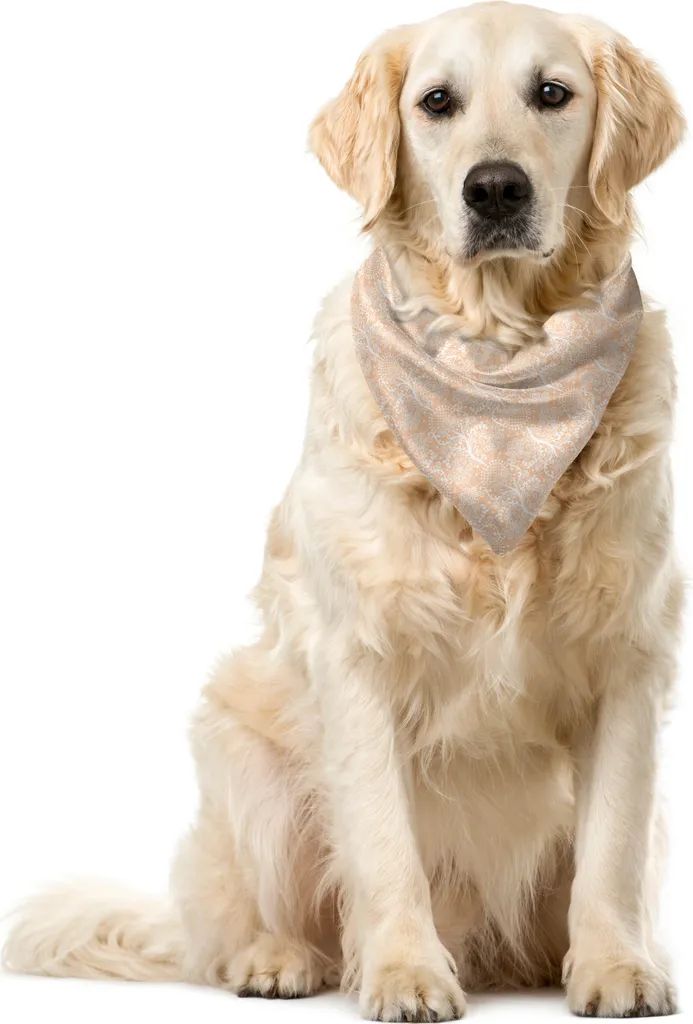 Bandana ABAKUHAUS Cane Damasco Pesca 40x40 - Elegante Accessorio Retro