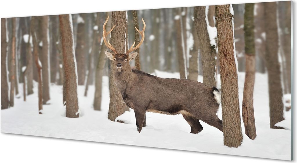 Glasbilder 125x50 Wandkunst Deer Winterwald