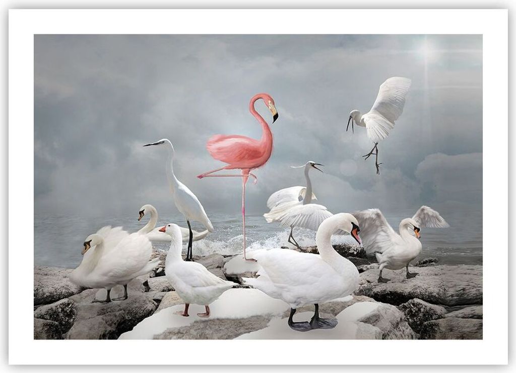 Poster - Poster ohne Rahmen - Flamingo Schwan Fantasie - 70x50 cm - Wand Bild - Wanddeko - Wandbilder - Kunstposter - Wandposter - Bilder - Kunstdr...
