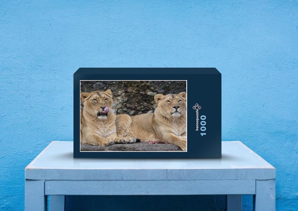 hansepuzzle 29932 - Löwen Puzzle, 1000 Teile, Tierwelt, 60,0 x 46,0cm mit hochwertiger Aufbewahrung, Kartonbox und wiederverschließbarem Beutel