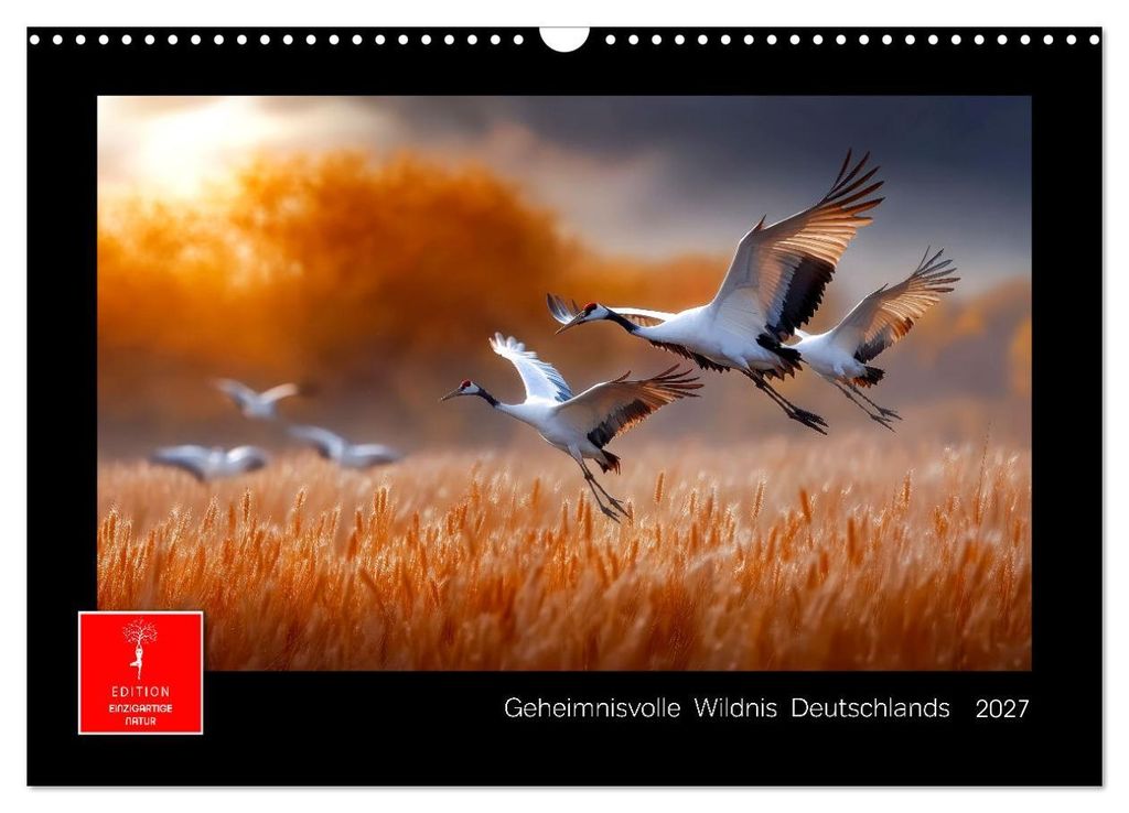 Geheimnisvolle Wildnis Deutschlands (Wandkalender 2027 DIN A3 quer), CALVENDO Monatskalender