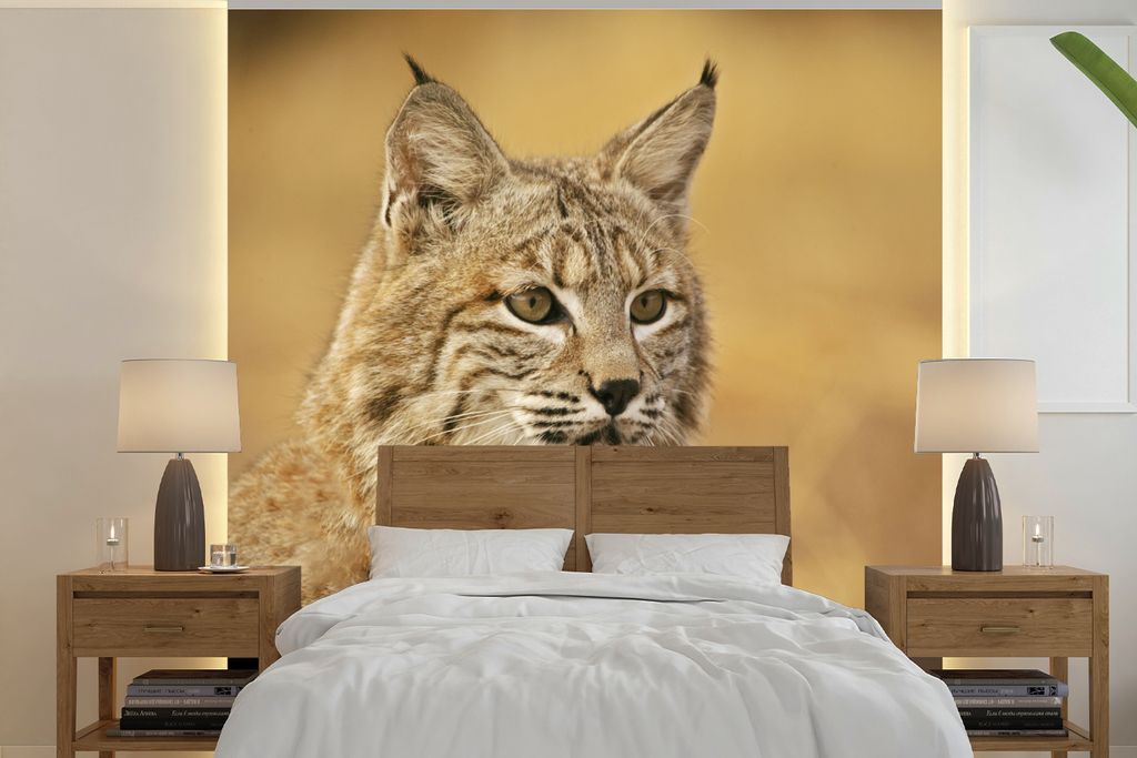 MuchoWow Fototapete für Wohnzimmer oder Schlafzimmer Wandtapete Vinyl Motivtapete Luchs - Braun - Gras - 220x220 cm - Tapeten